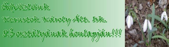 Üdvözlünk Kernstok Károly Általános iskola 8.b osztályának honlapja!